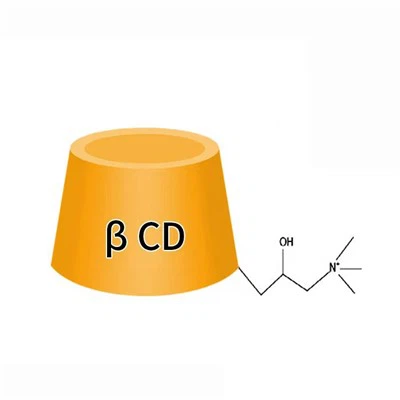 Cation   Cyclodextrin